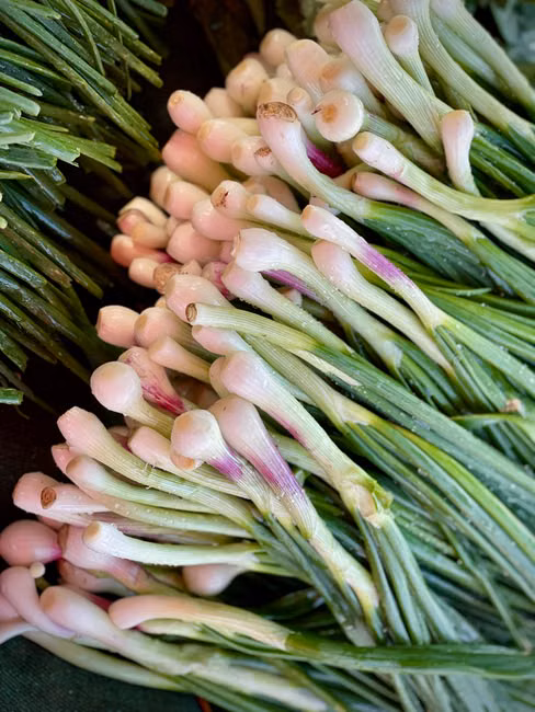 Cebola Nacional (kg)